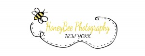 honeybee image