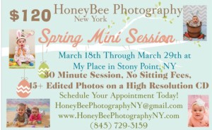 Honeybee spring session