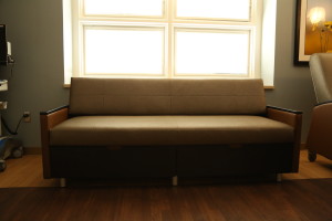 Sleeper Sofa