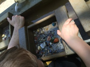 Dino Days Washed Minerals