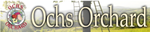 Ochs Logo