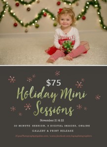 IC YOu HOliday Minis 2015