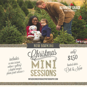 Kennedy Grace ChristmasMIniSessions 2015