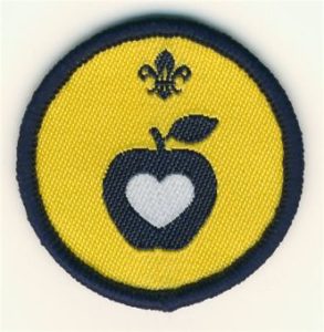 healthandfitnessbadge