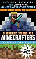 minecraft books